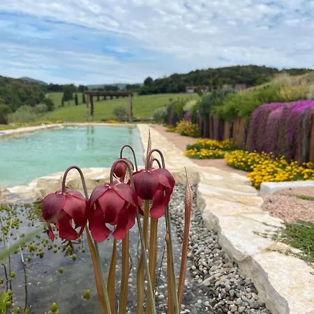 Podere Terraviva - Ginestra