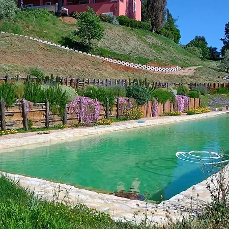 Daire Podere Terraviva - Ginestra Riparbella