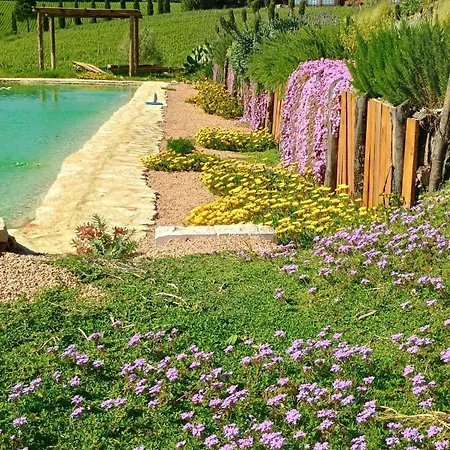 Podere Terraviva - Ginestra * Riparbella