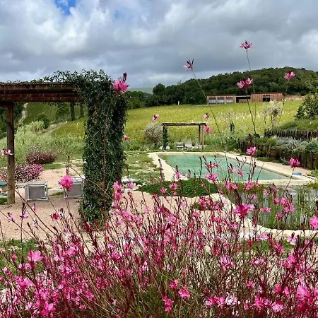 Podere Terraviva - Ginestra Apartment