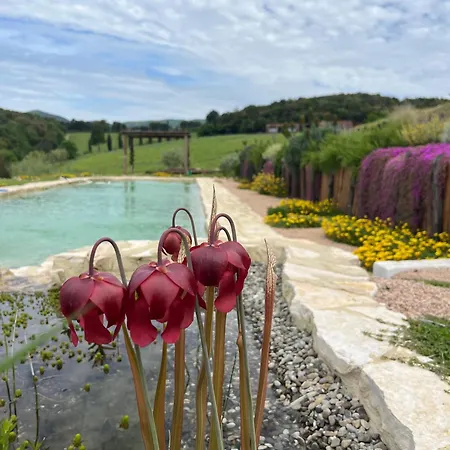 Podere Terraviva - Ginestra Riparbella